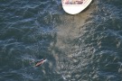Missing Picture